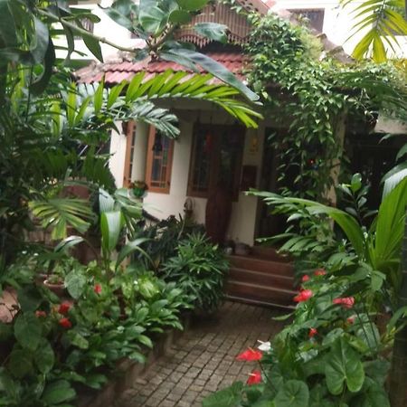 梦幻住宿加早餐旅馆 Kochi 外观 照片