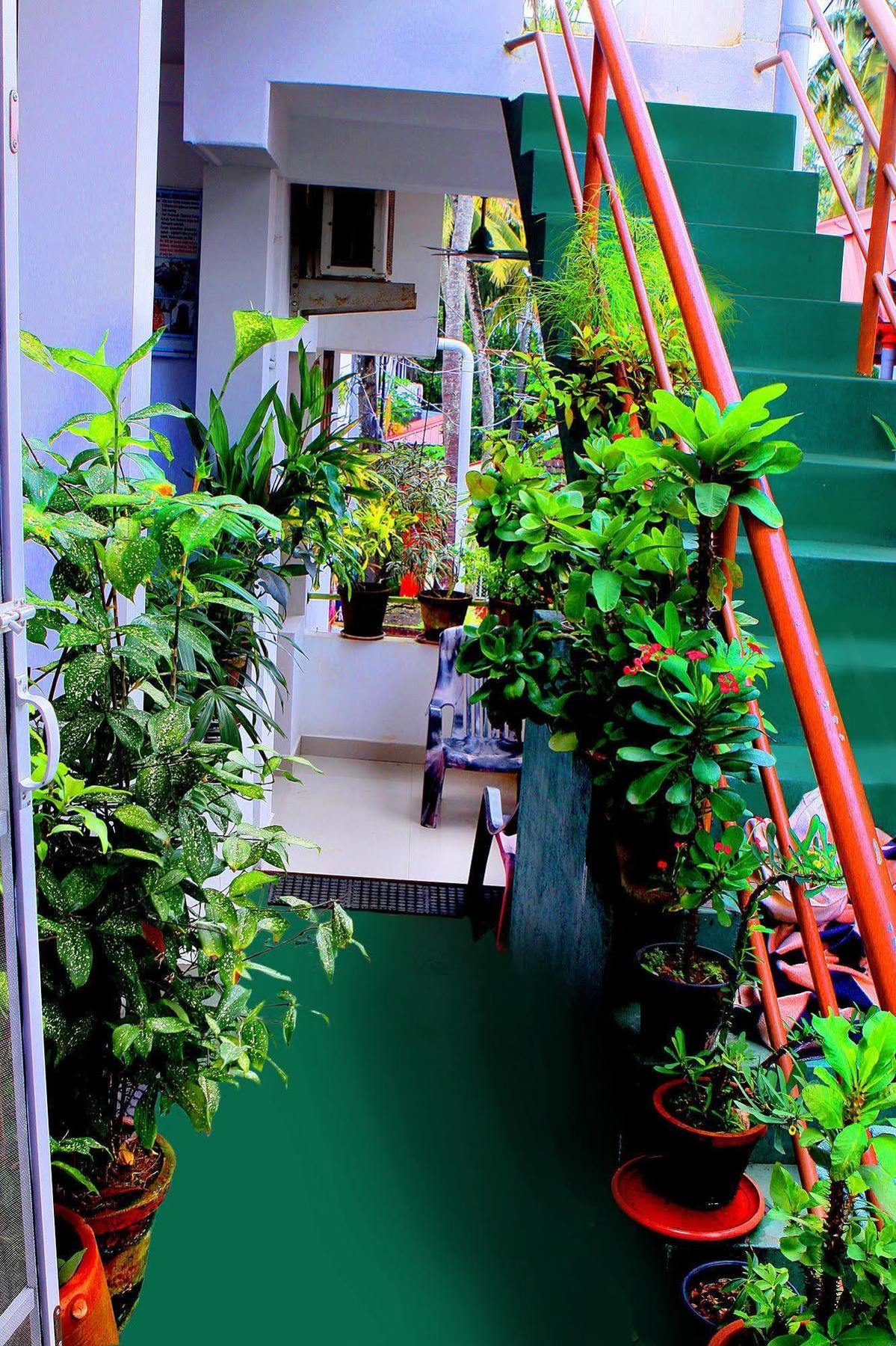 梦幻住宿加早餐旅馆 Kochi 外观 照片