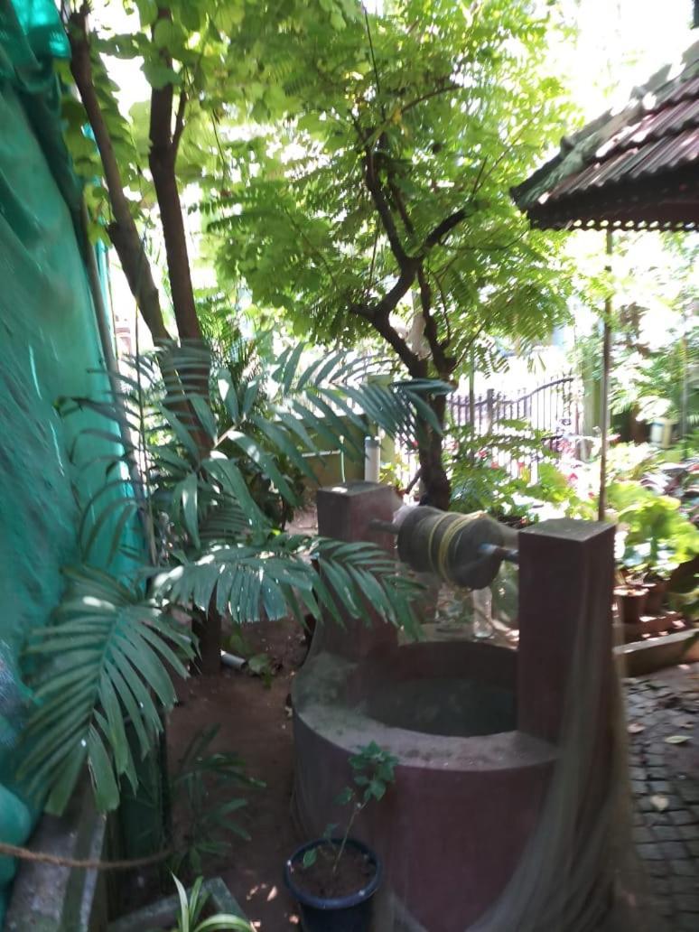 梦幻住宿加早餐旅馆 Kochi 外观 照片