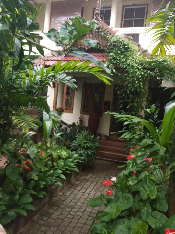 梦幻住宿加早餐旅馆 Kochi 外观 照片
