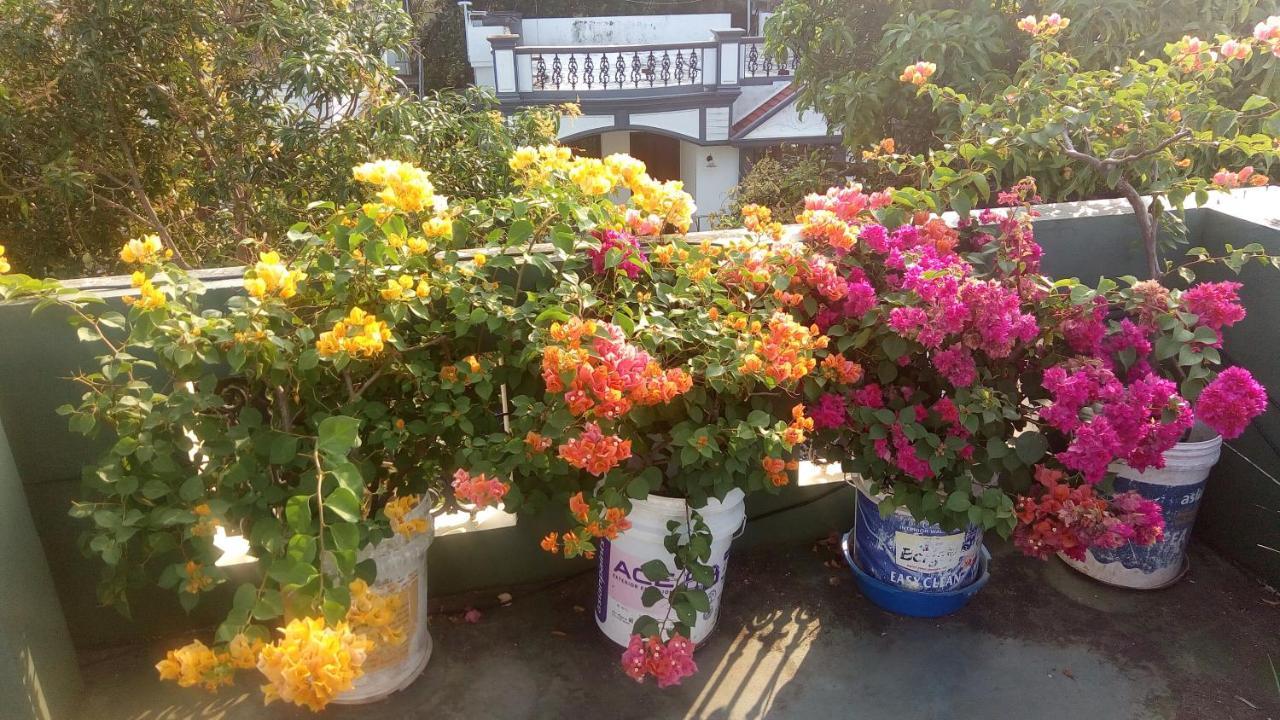 梦幻住宿加早餐旅馆 Kochi 外观 照片